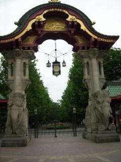 SPA53082.jpg