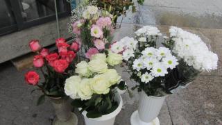 IMG_5151.JPG