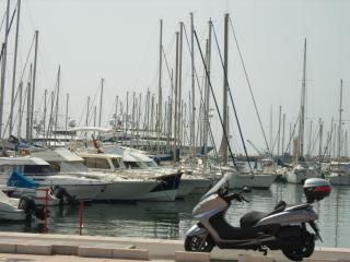 SPA53481.JPG