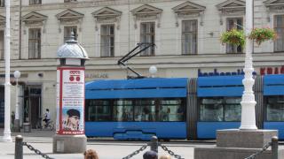 IMG_5149.JPG