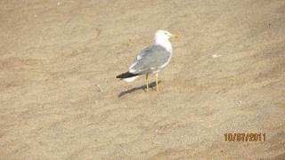 IMG_1764.JPG