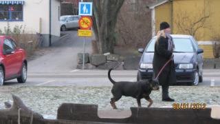 IMG_4500.JPG