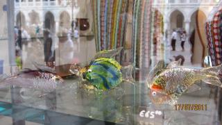 IMG_3029.JPG
