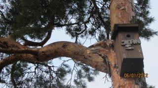IMG_4005.JPG