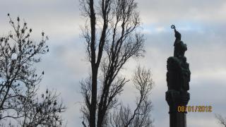 IMG_4435.JPG