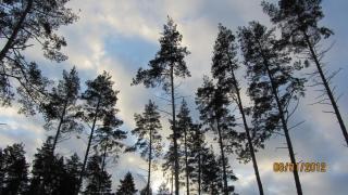 IMG_4394.JPG