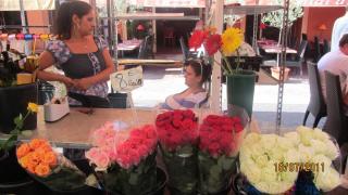 IMG_2742.JPG