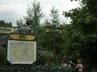 SPA53328.JPG