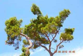 DSC_0057.JPG