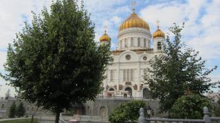 IMG_4953.JPG