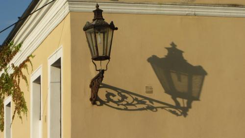 IMG_8024.JPG