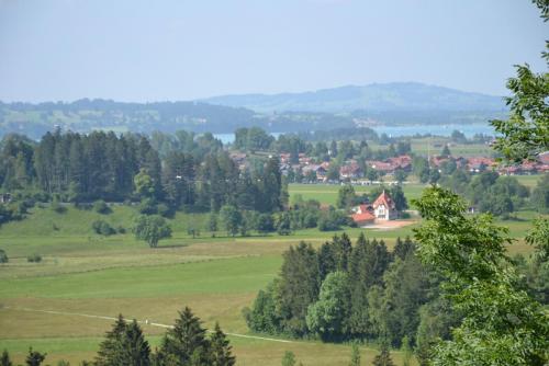 DSC_0442.JPG