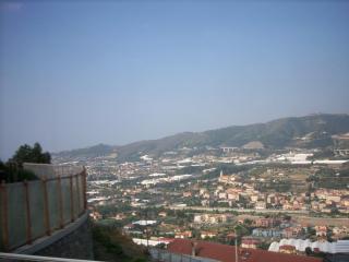 SPA53677.JPG