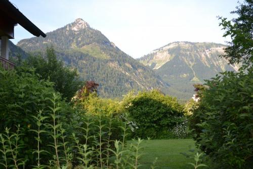 DSC_0456.JPG