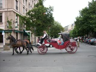 SPA53131.JPG