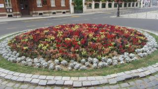 IMG_5111.JPG