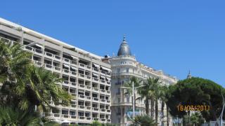 IMG_2648.JPG