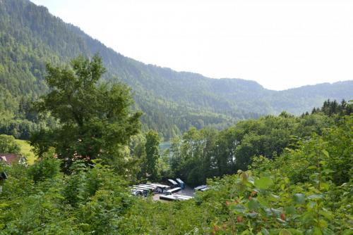 DSC_0438.JPG