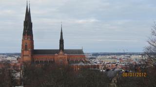 IMG_4419.JPG