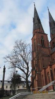IMG_4440.JPG