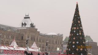 IMG_4641.JPG