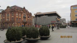 IMG_4451.JPG