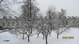 IMG_4607.JPG