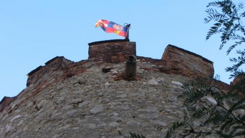 IMG_8019.JPG