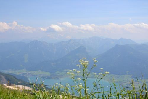 DSC_0641.JPG
