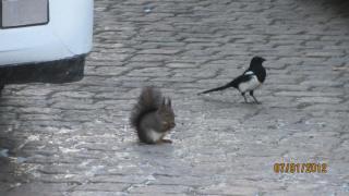 IMG_4236.JPG