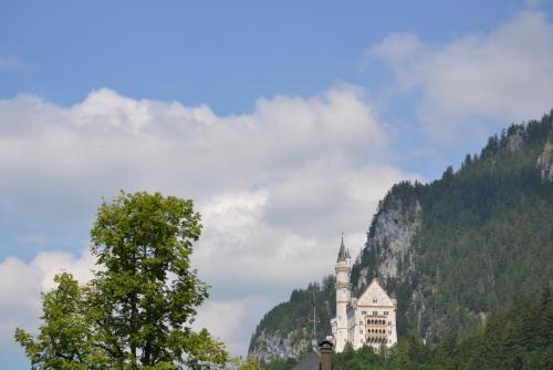 DSC_0432.JPG