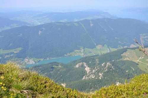 DSC_0652.JPG