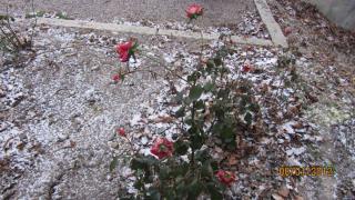 IMG_4444.JPG