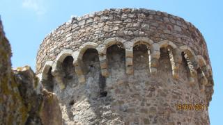 IMG_2334.JPG
