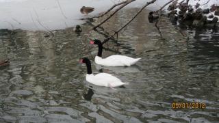 IMG_3970.JPG