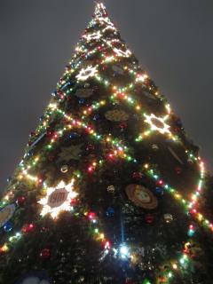 IMG_3911.JPG