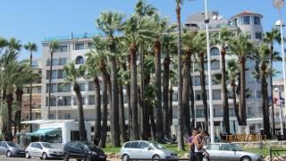 IMG_2701.JPG