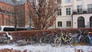 IMG_4434.JPG