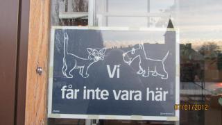 IMG_4317.JPG