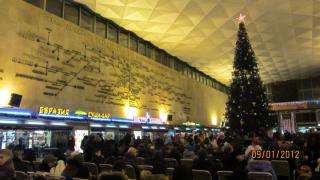 IMG_4574.JPG