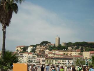 SPA53478.JPG