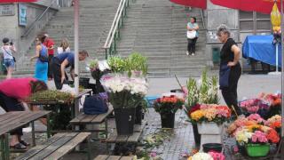 IMG_5167.JPG