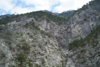 DSC07962.JPG