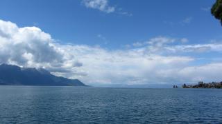 IMG_7670.JPG