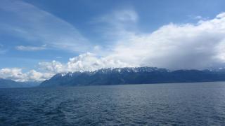 IMG_7781.JPG