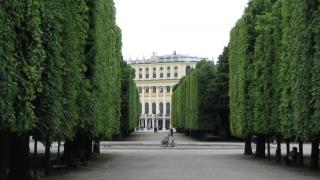 IMG_6477.JPG