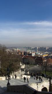 IMG_3385.JPG
