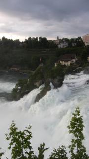 IMG_8229.JPG