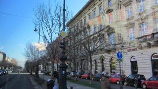 IMG_2446.JPG