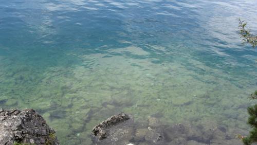 IMG_3710.JPG